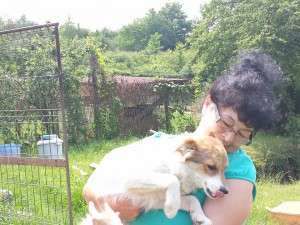 10256420_677861528917154_8962026021066515353_n