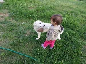 10262024_666597870043520_1437954560955754587_n