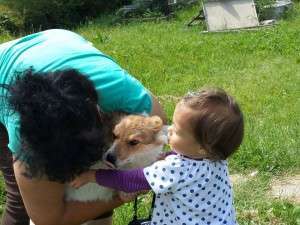 10262228_677861545583819_5406787581657285963_n