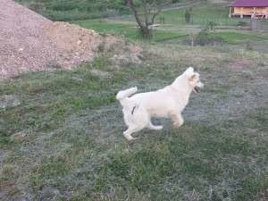 10273597_674375682599072_4517359942766049643_n