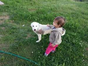 10277729_666597886710185_3304056610393718865_n