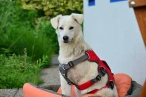 10302218_680145522022088_7934254211845770490_n