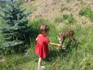 10314492_685857981450842_2201421573889293985_n