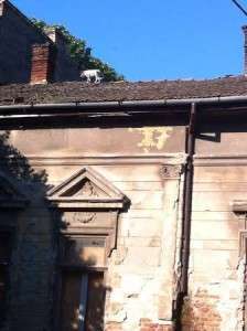 10362644_677679415602032_6444393455702152980_n