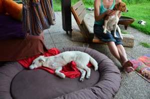 10371724_680145538688753_9057416245592341492_n