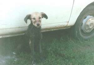 10371990_680566705313303_6785593515296162042_n