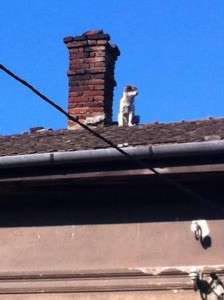 10372006_677679422268698_6532504849784421052_n