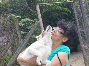 10373837_677861452250495_631759465076020991_n