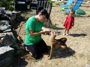 10402698_685857874784186_3230377125449738792_n