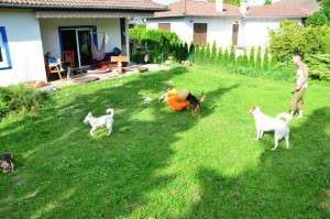 10404163_680145532022087_4208894387434948283_n