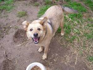 10407125_680566758646631_6577344306904100471_n