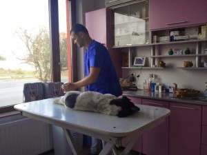 10407929_752817004754939_5489438362904031522_n