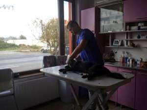 10407935_752817044754935_5637962258899676393_n