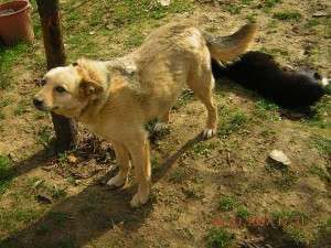 10411922_680566745313299_8421816494187037931_n