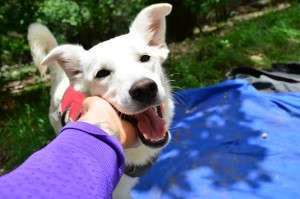 10433842_680145605355413_7091914943975919493_n