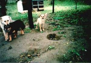 10447089_680566728646634_2306660132814308282_n