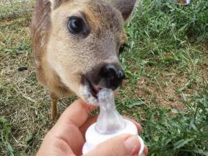 10463028_688878341148806_6043033508163344838_n