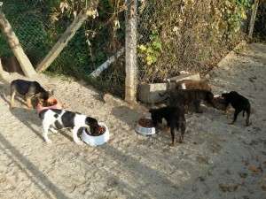 10485847_753273568042616_25659003965810261_n