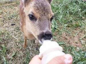 10488354_688878371148803_2065082969038632446_n