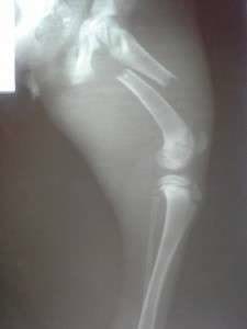 10544398_698183280218312_7392268572147690281_n