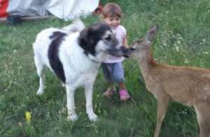 10568790_705974792772494_234724084107519056_n