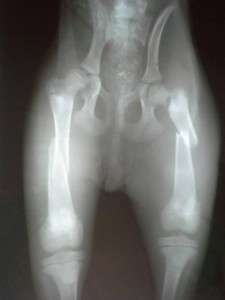 15390_698183273551646_9037185188799786233_n