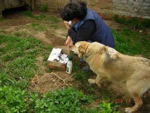 1555327_680566791979961_3756115679716381039_n