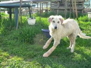 10014585_652921348077839_176972939_n