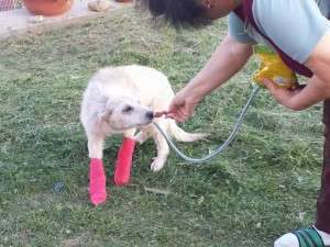 10152656_662068237163150_7646519408681426680_n