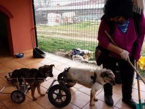 10155889_653564454680195_201217958_n