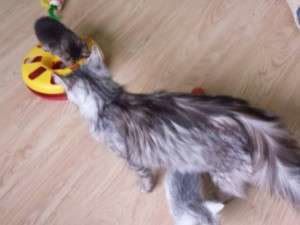 10252153_662641583772482_3674630473536933716_n