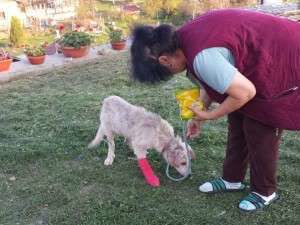 10312467_662068197163154_341510213116576531_n