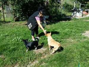 10346443_730862506950389_462376472744338841_n