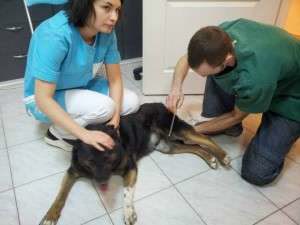 1044067_633812809988693_171168399_n