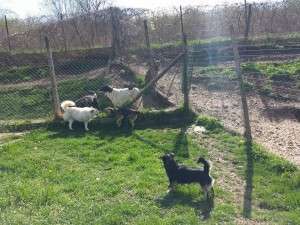 10730878_820993244603981_264038869446912614_n