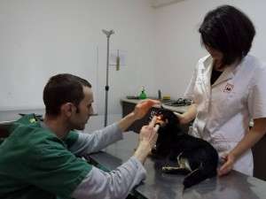 1506399_636893559680618_363657388_n