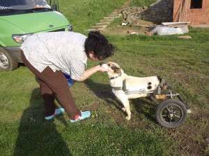 1511105_653564504680190_652924277_n