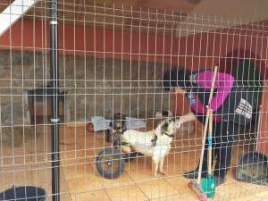 1544599_653564464680194_681016465_n