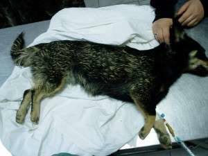 1779331_633653853337922_503940852_n