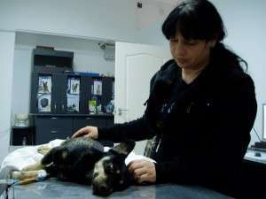 1780816_633653850004589_1600362830_n