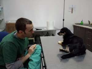 1911797_636893296347311_820303044_n