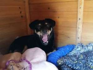 1926899_641790195857621_1547986664_n