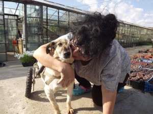 1939975_653564451346862_789521758_n