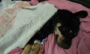 1947969_634272839942690_1759285654_n