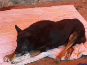 1962673_647508698619104_603769414_n