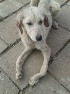 604085_650933531609954_1204812231_n