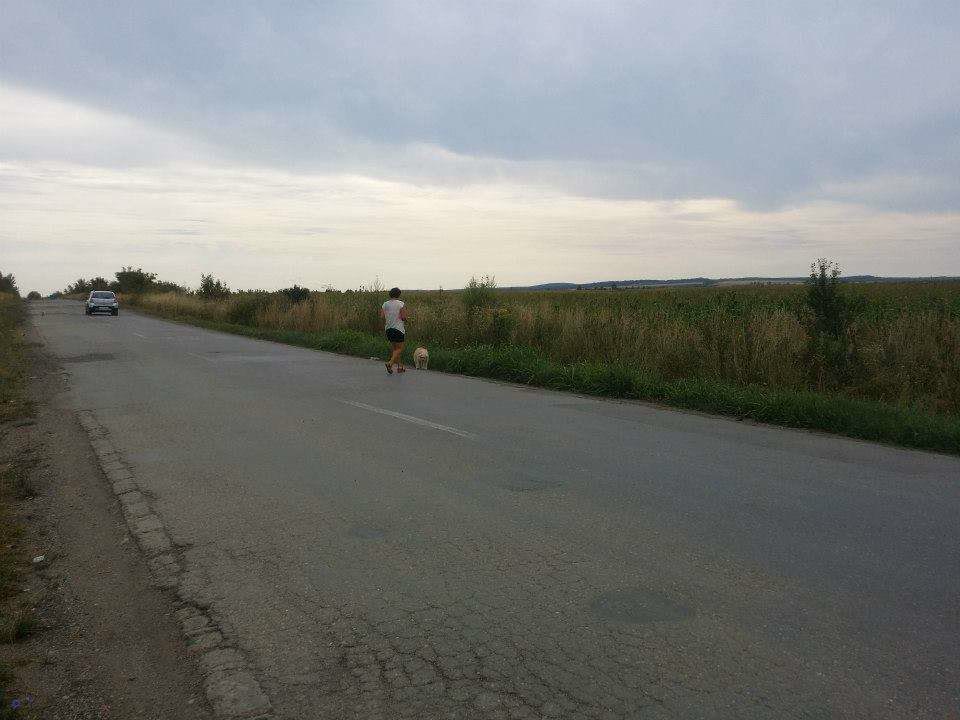 1.aliosa