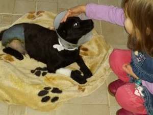 We saved him from euthanasia 