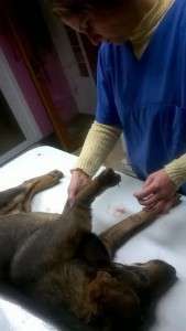 Frightened and desperately in pain