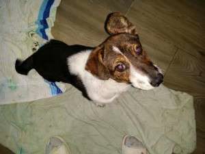 Letter to Santa Claus